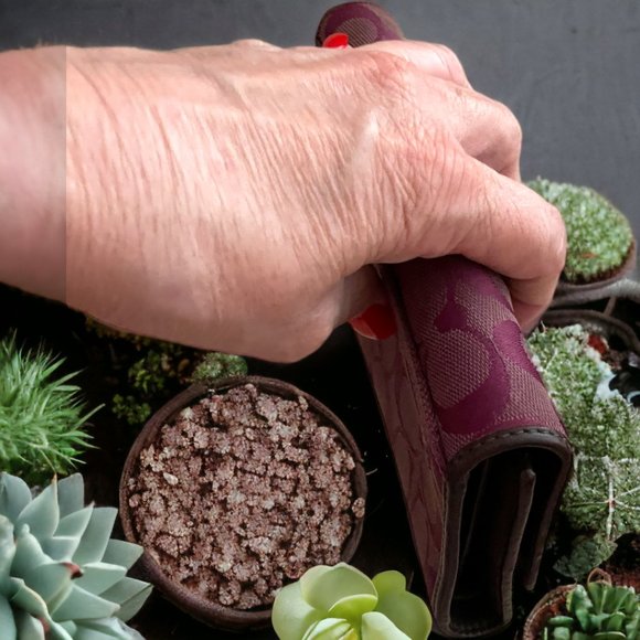 Coach Wallet - Purple/Maroon - Authentic - Picture 9 of 11